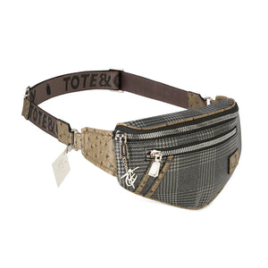 Tote & Carry Plaid Fanny