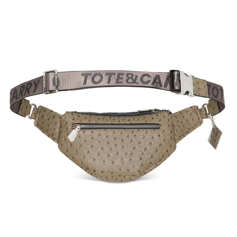 Tote & Carry Plaid Fanny